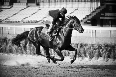Un jockey &agrave; Deauville