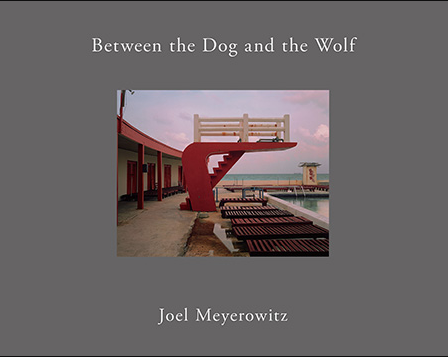 Joel Meyerowitz Between the Dog and the… Between the Dog and the Wolf — Joel Meyerowitz