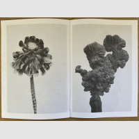 © Philippe chancel / Editions Bessard