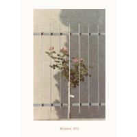 © Luigi Ghirri / Mark