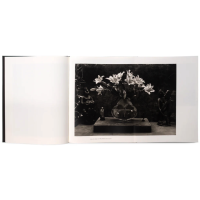 © Don McCullin / GOST Books