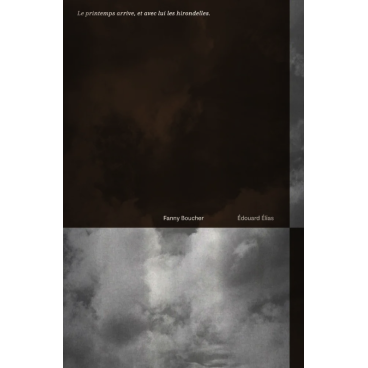 Le printemps arrive, et avec lui les hirondelles