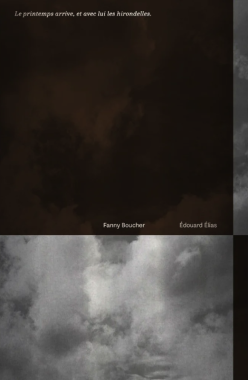 Le printemps arrive, et avec lui les hirondelles