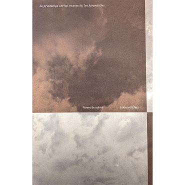 Le printemps arrive, et avec lui les hirondelles