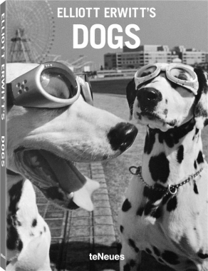 Dogs (édition poche)