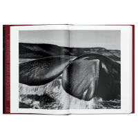 ©Sebastião Salgado / Taschen