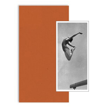 Great Leaps Forward (édition collector #1)