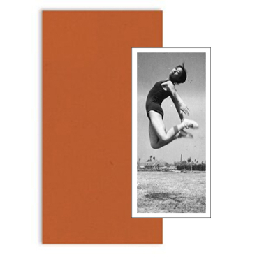Great Leaps Forward (édition collector #2)