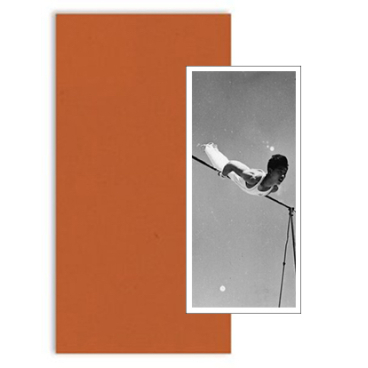 Great Leaps Forward (édition collector #3)