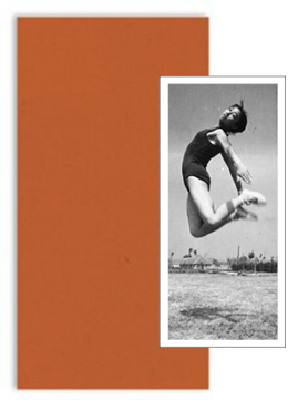 Great Leaps Forward (édition collector #2)