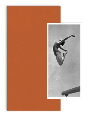 Great Leaps Forward (édition collector #1)