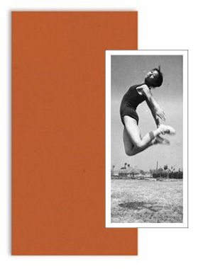 Great Leaps Forward (édition collector #2)