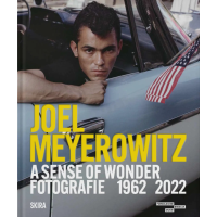 © Joel Meyerowitz / Super Labo