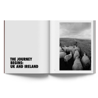 © Joel Meyerowitz / Super Labo