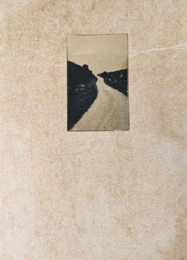 El vuelo lleva al vuelo (Chemin)