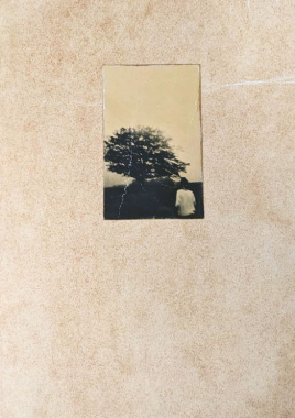 El vuelo lleva al vuelo (Silhouette)