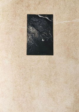 El vuelo lleva al vuelo (Papillon)