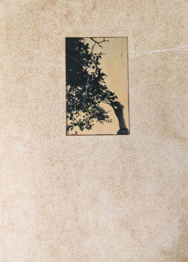 El vuelo lleva al vuelo (Main)