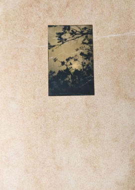 El vuelo lleva al vuelo (Branche)