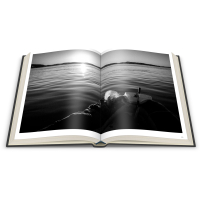 © Olivier Laban Mattei, Lisandru Laban-Giuliani / Hemeria
