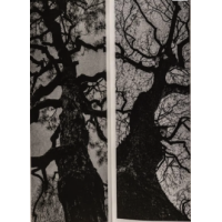 © Franck Landron / Éditions Bessard