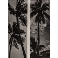 © Franck Landron / Éditions Bessard