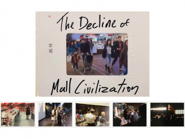 The Decline of Mall Civilization (edition collector)