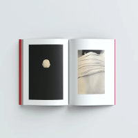 © Mikael Siirilä / IIKKI