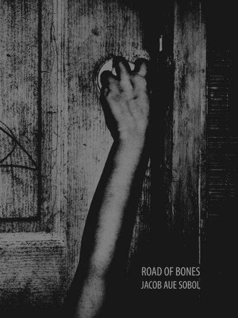 Jacob Aue Sobol Sabine初版 Jacob Aue Sobol Sabine初版 - メルカリ