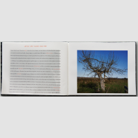 © Sophie Calle / Atelier EXB