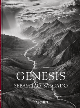 Genesis 45th ed