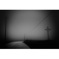 ©David Nissen's photographs