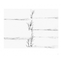 © Abbas Kiarostami / Hatje Cantz