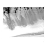 © Abbas Kiarostami / Hatje Cantz