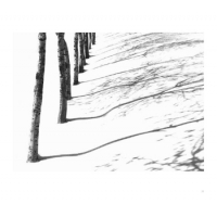 © Abbas Kiarostami / Hatje Cantz