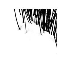 © Abbas Kiarostami / Hatje Cantz