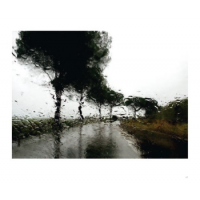 © Abbas Kiarostami / Hatje Cantz