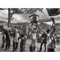 © Sebastião Salgado