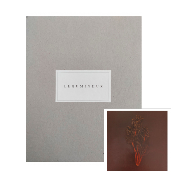 Légumineux (édition collector #3)