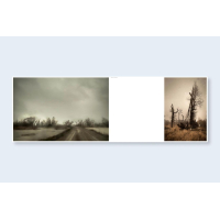 © Todd Hido / Nazraeli Press