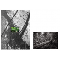 © Pierre de Vallombreuse / The (m) éditions