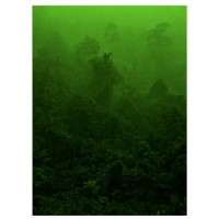 © Pierre de Vallombreuse / The (m) éditions