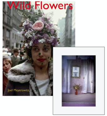 Wild Flowers (edition collector)