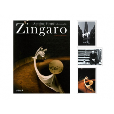 Zingaro (Edition collector)