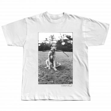 T-shirt Elliott Erwitt - Dogs (Terrier Irlandais)