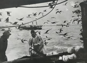 Avec les pêcheurs de harengs, France, vers 1940