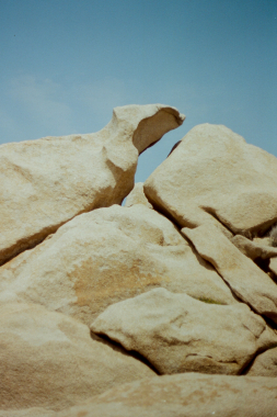 La roche