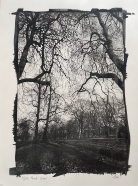 Hyde Park London I, 2001