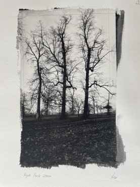 Hyde Park London II, 2000