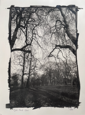 Hyde Park London I, 2001
